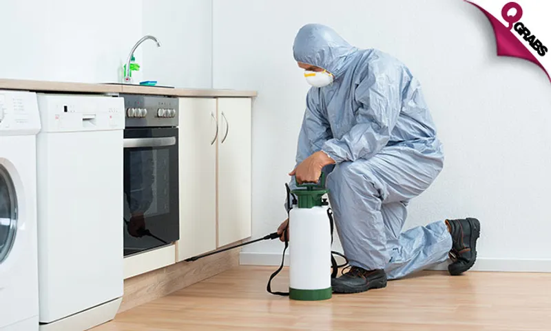 Pest Control Services!